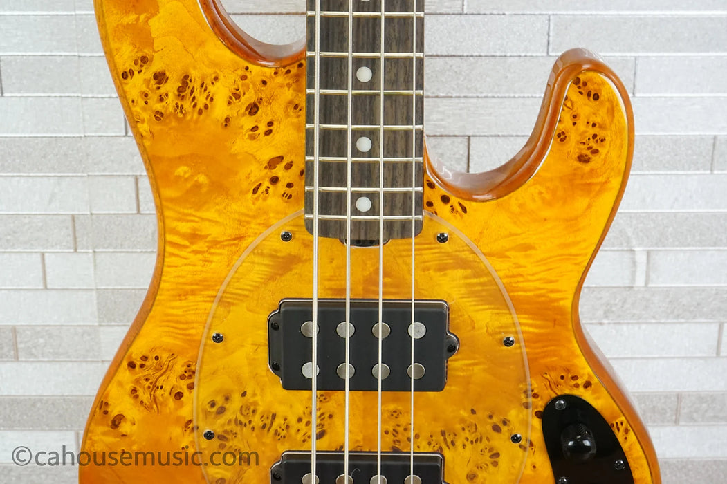 Sterling StingRay Ray34HHPB - Amber