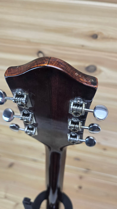 1965 Gretsch 6119 Chet Atkins Tennessean Walnut Brown Vintage Hollow Body USA