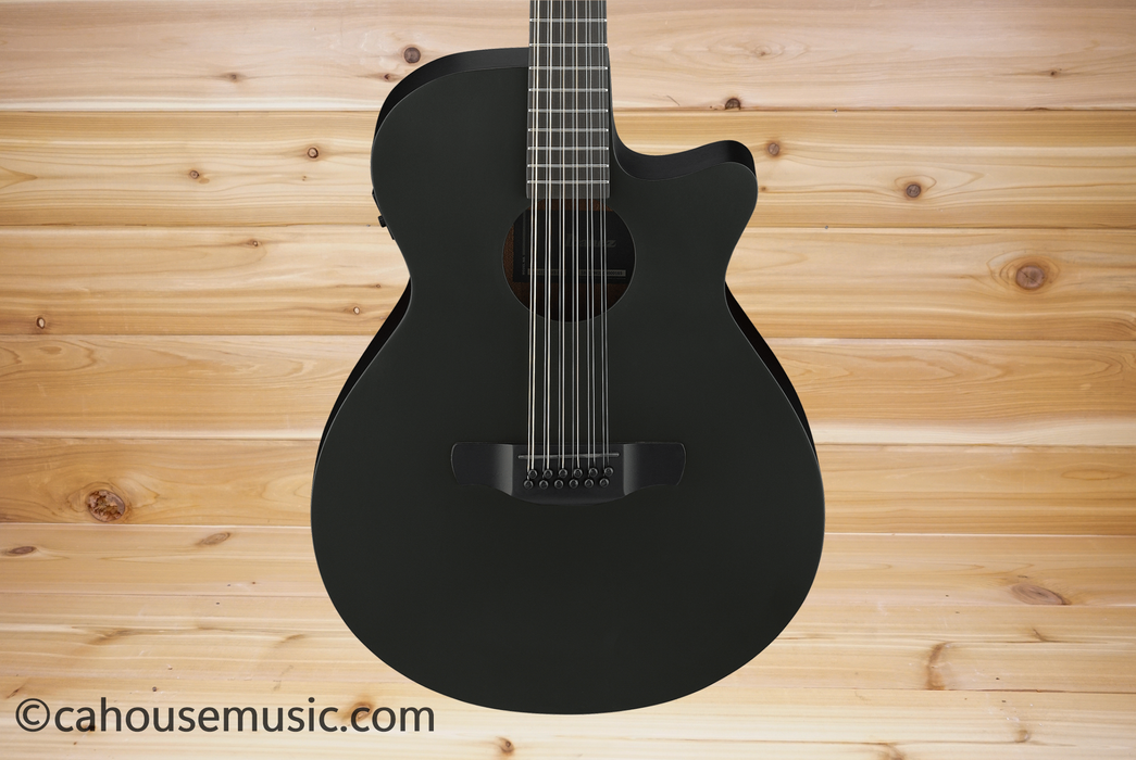 Ibanez AEG1221 12-String Acoustic-Electric Guitar Black Out