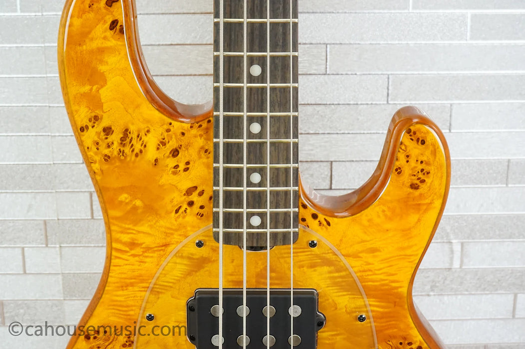 Sterling StingRay Ray34HHPB - Amber