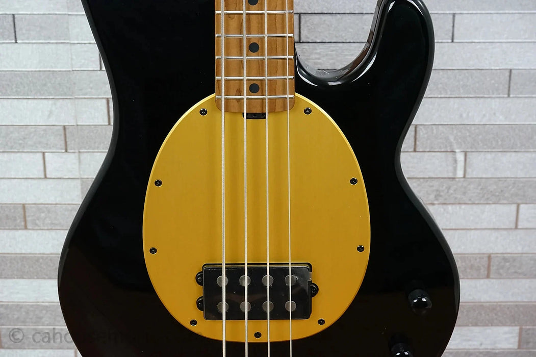 Sterling Pete Wentz Artist Series StingRay - Black