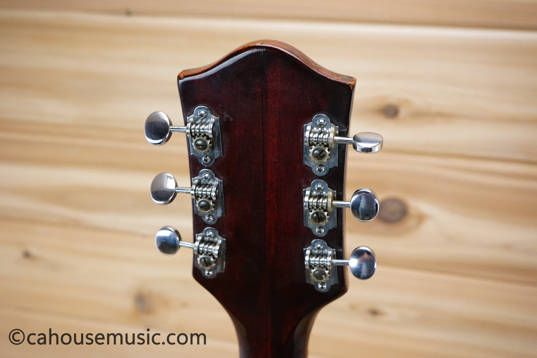 1965 Gretsch 6119 Chet Atkins Tennessean Walnut Brown Vintage Hollow Body USA
