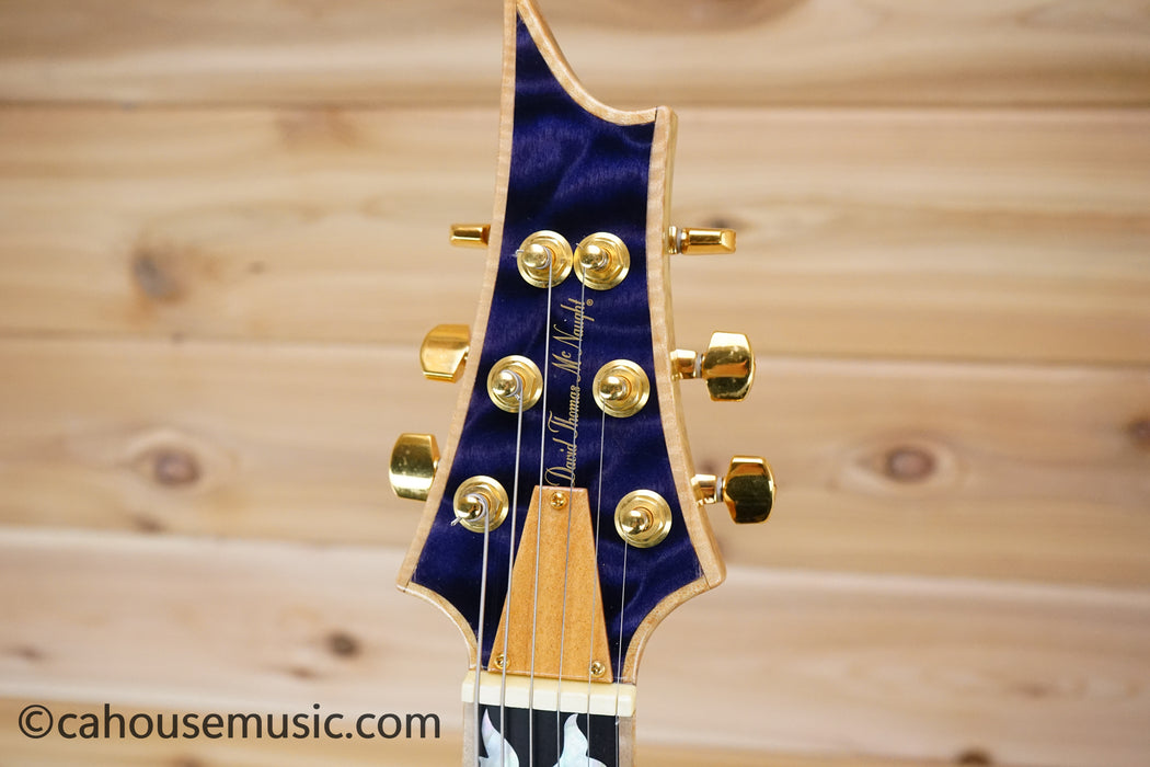 David Thomas McNaught Phoenix Rising Solid Body Electric Guitar - Serial Number 67 - Tree Of Life