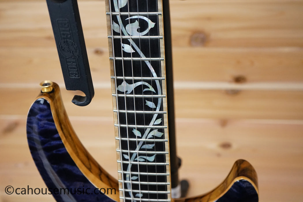 David Thomas McNaught Phoenix Rising Solid Body Electric Guitar - Serial Number 67 - Tree Of Life