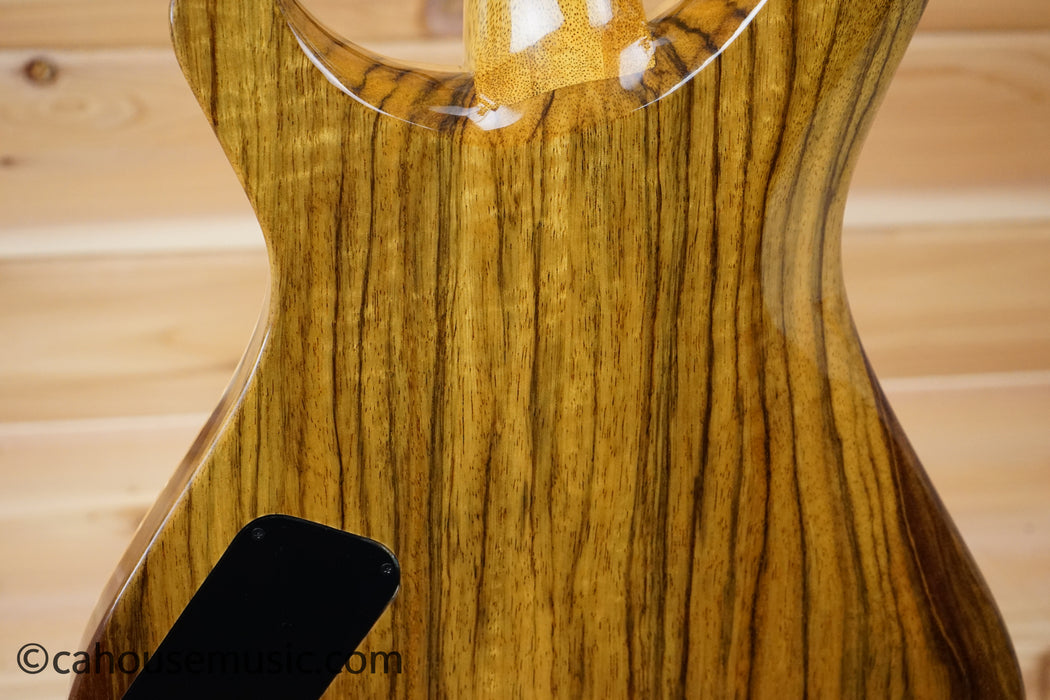 David Thomas McNaught Phoenix Rising Solid Body Electric Guitar - Serial Number 67 - Tree Of Life