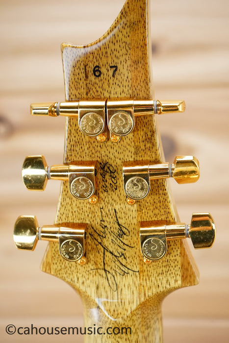 David Thomas McNaught Phoenix Rising Solid Body Electric Guitar - Serial Number 67 - Tree Of Life