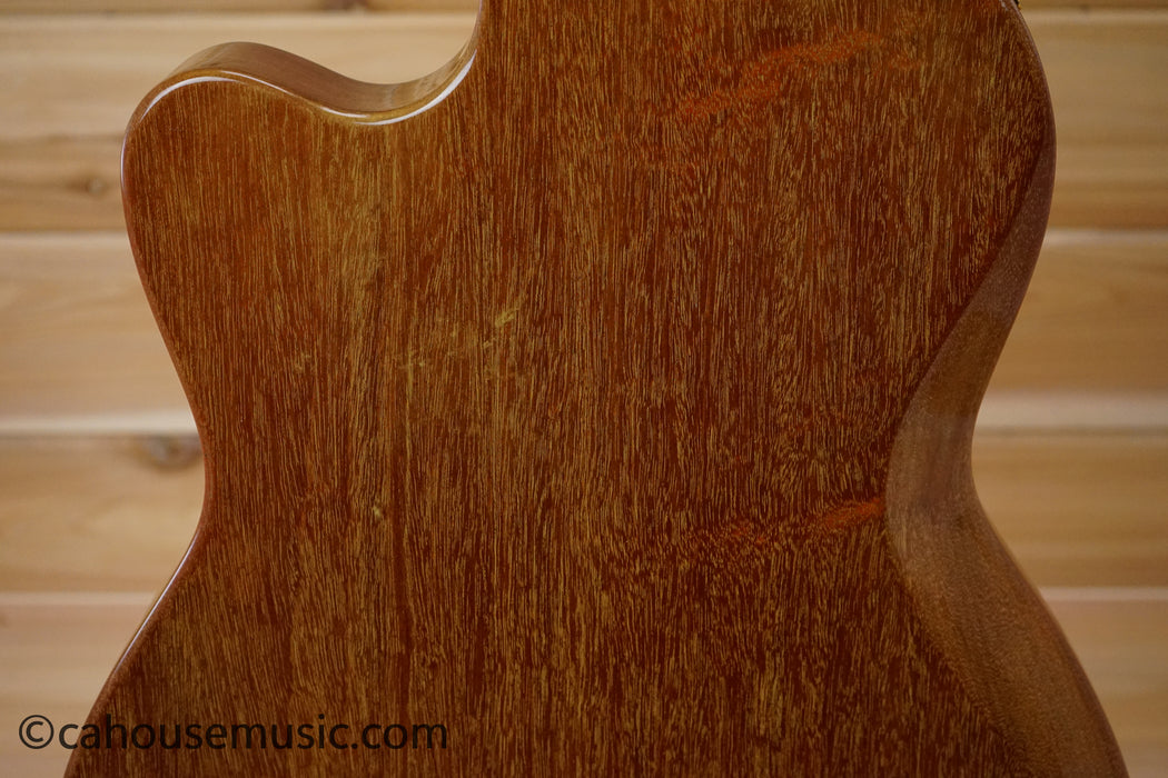 Gibson Custom Shop Chet Atkins CE (1982) - Hand Signed Chet Adkins