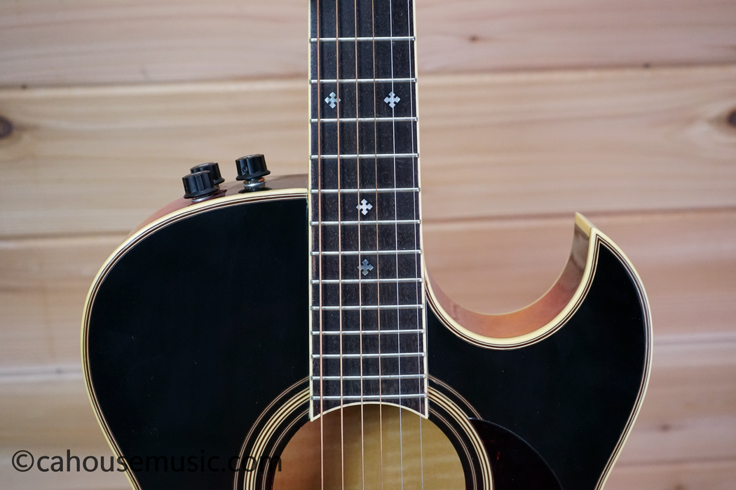 Fender El Rio Acoustic-Electric Guitar Used