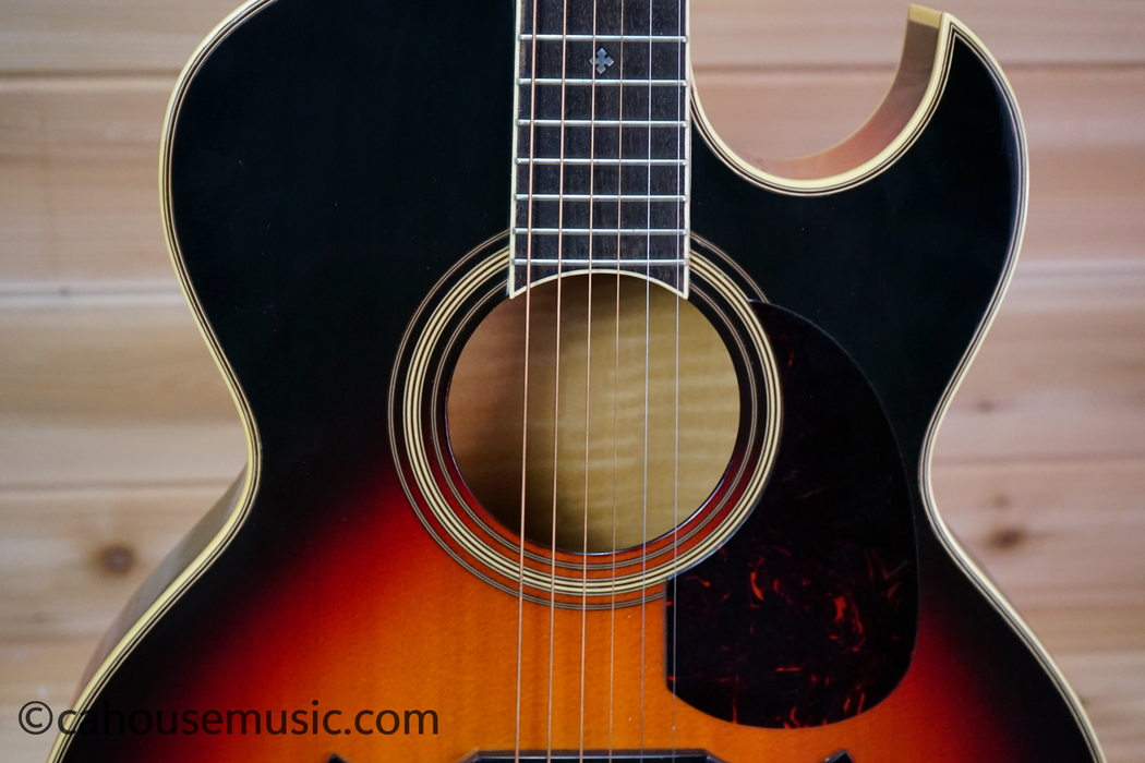 Fender El Rio Acoustic-Electric Guitar Used