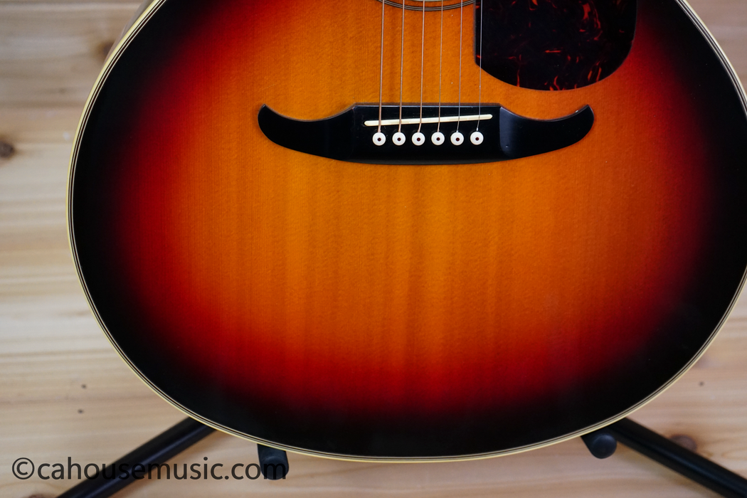 Fender El Rio Acoustic-Electric Guitar Used