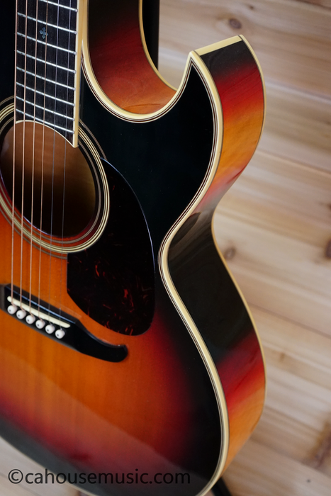 Fender El Rio Acoustic-Electric Guitar Used