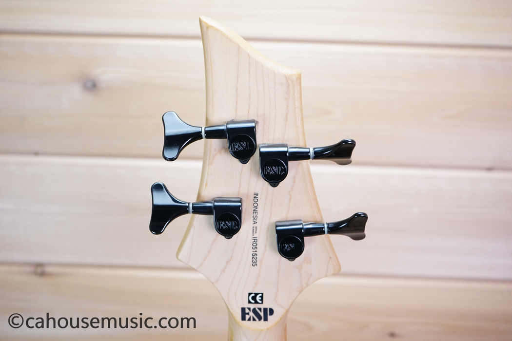 ESP LTD B-50 PJ Bass Guitar Black Used