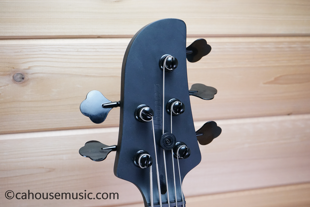 Ibanez TMB425BBKF Talman 5-String PJ Bass Guitar Black Flat - Shipping Damage Special