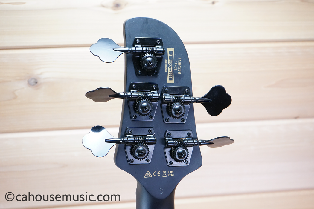 Ibanez TMB425BBKF Talman 5-String PJ Bass Guitar Black Flat - Shipping Damage Special