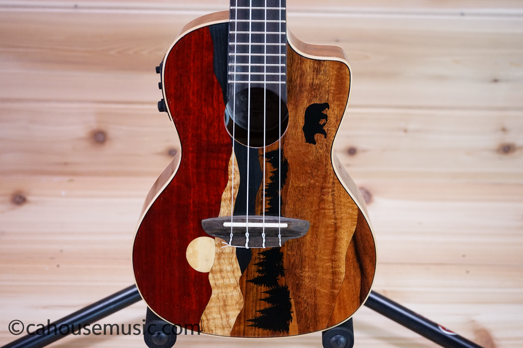 Luna Vista Bear Concert Acoustic-Electric Ukulele Used