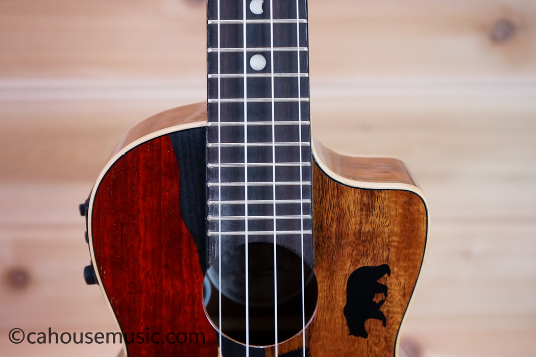 Luna Vista Bear Concert Acoustic-Electric Ukulele Used