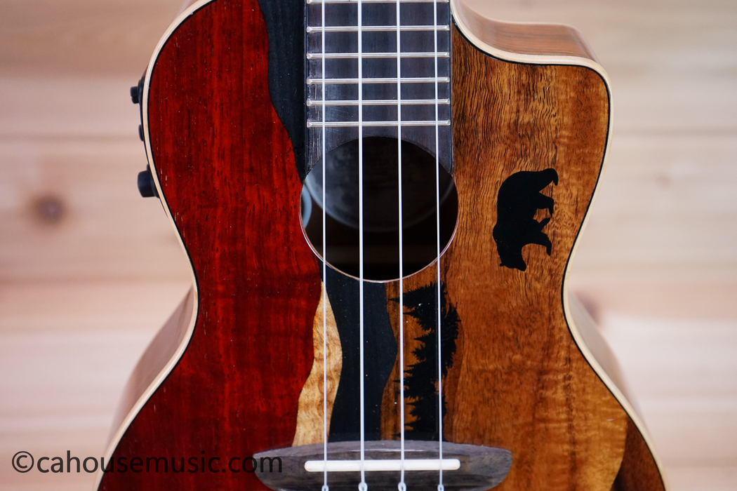 Luna Vista Bear Concert Acoustic-Electric Ukulele Used