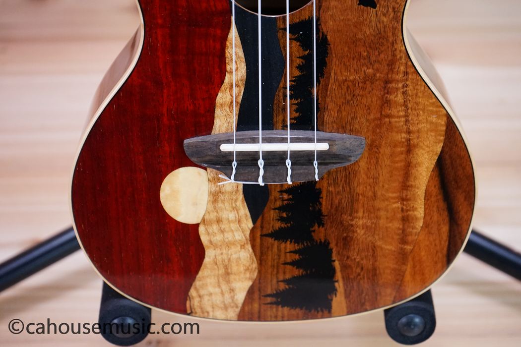 Luna Vista Bear Concert Acoustic-Electric Ukulele Used