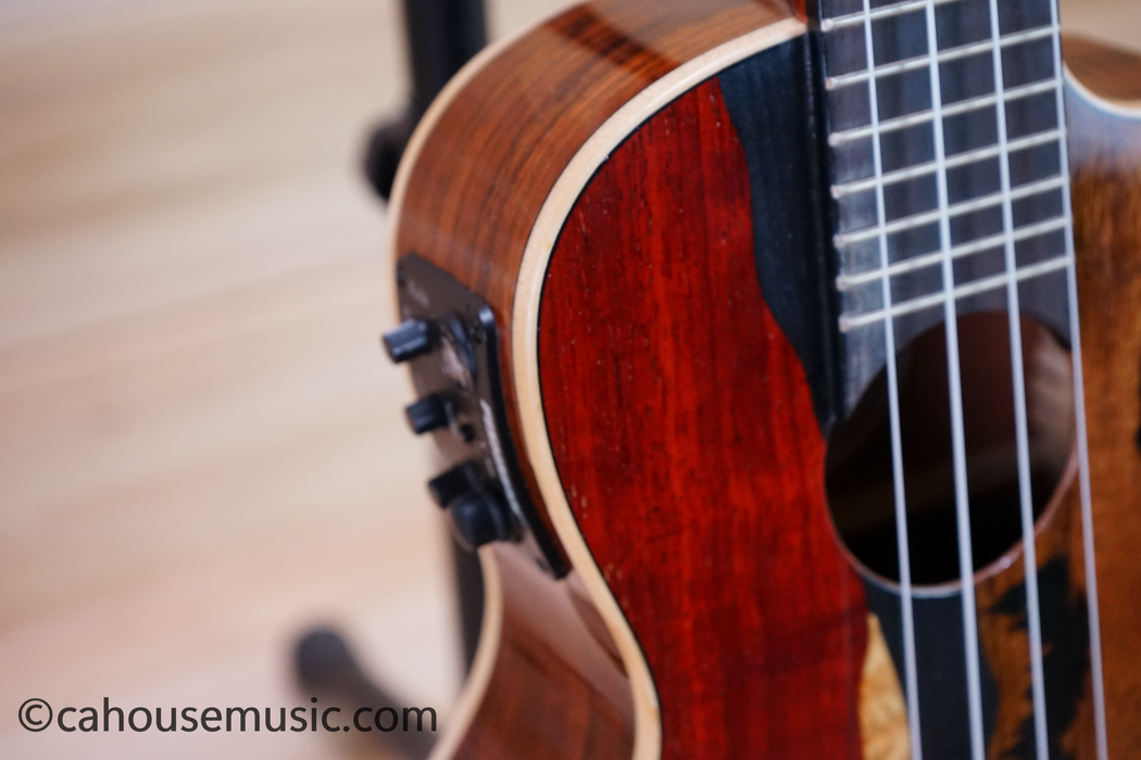 Luna Vista Bear Concert Acoustic-Electric Ukulele Used