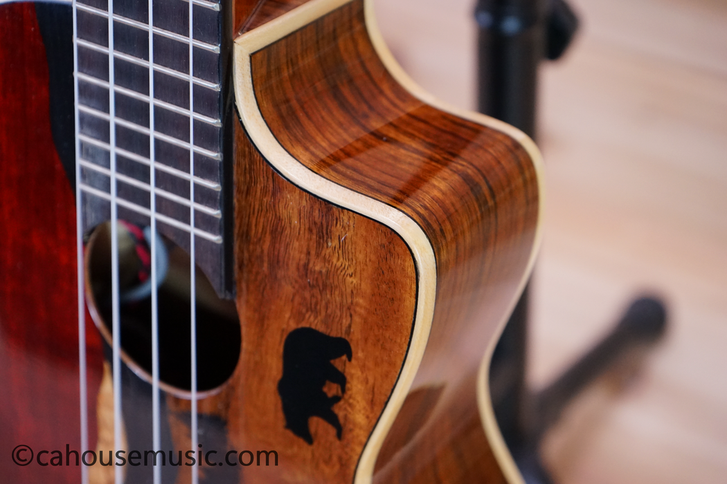 Luna Vista Bear Concert Acoustic-Electric Ukulele Used