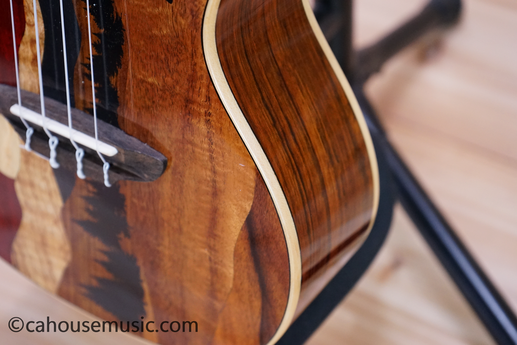 Luna Vista Bear Concert Acoustic-Electric Ukulele Used