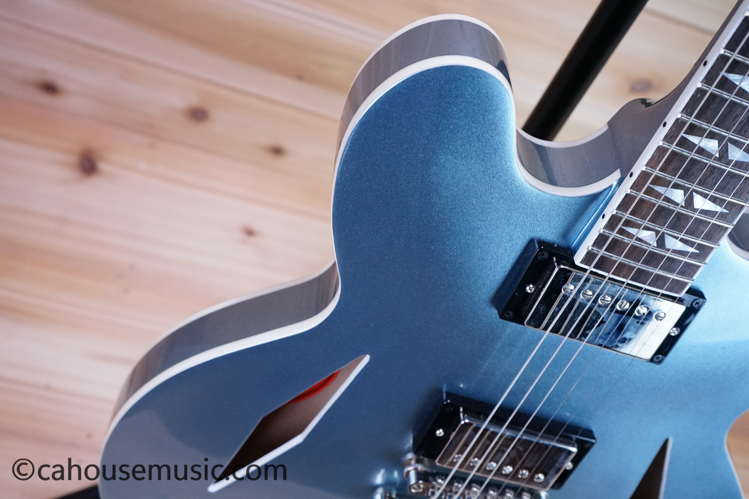 Epiphone Dave Grohl DG-335 Semi-Hollowbody Electric Guitar Used