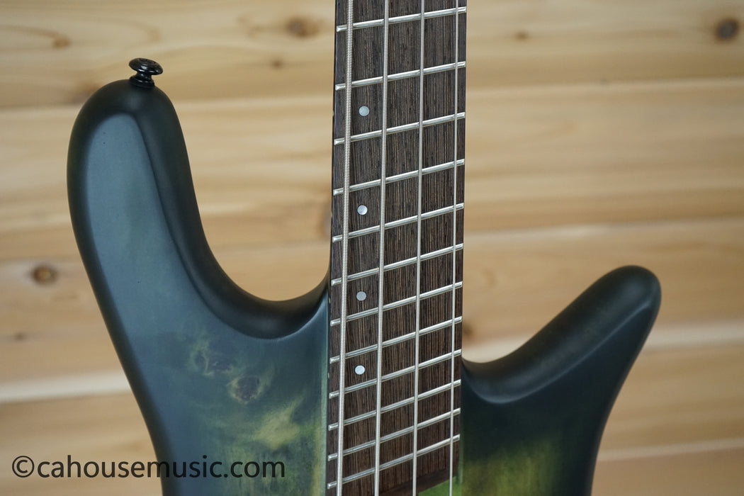 Spector NS Dimension 4 Multi-Scale Bass Guitar Haunted Moss Matte B-Stock