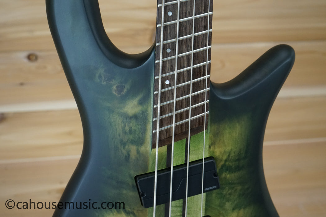 Spector NS Dimension 4 Multi-Scale Bass Guitar Haunted Moss Matte B-Stock
