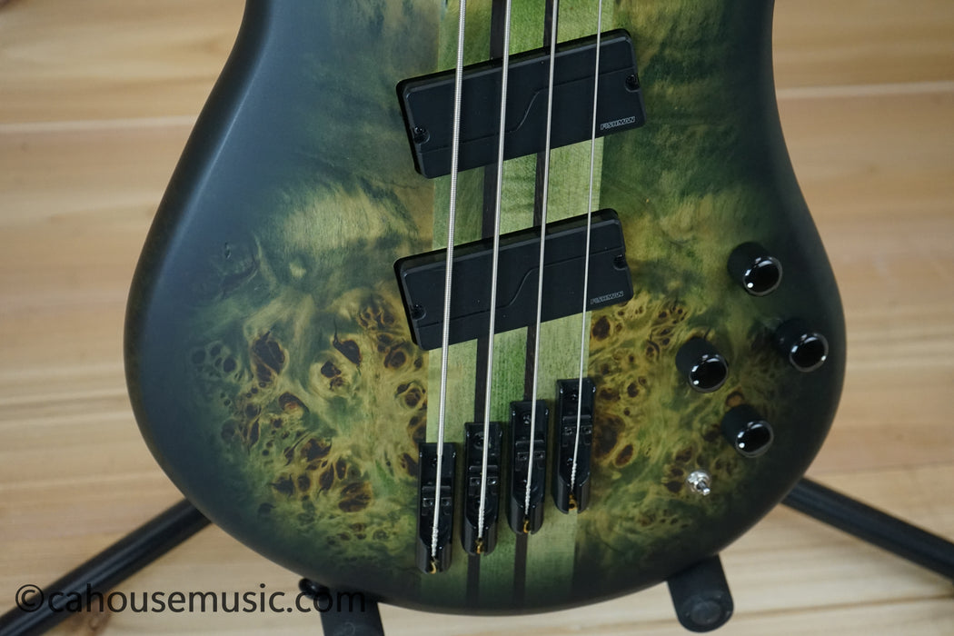 Spector NS Dimension 4 Multi-Scale Bass Guitar Haunted Moss Matte B-Stock