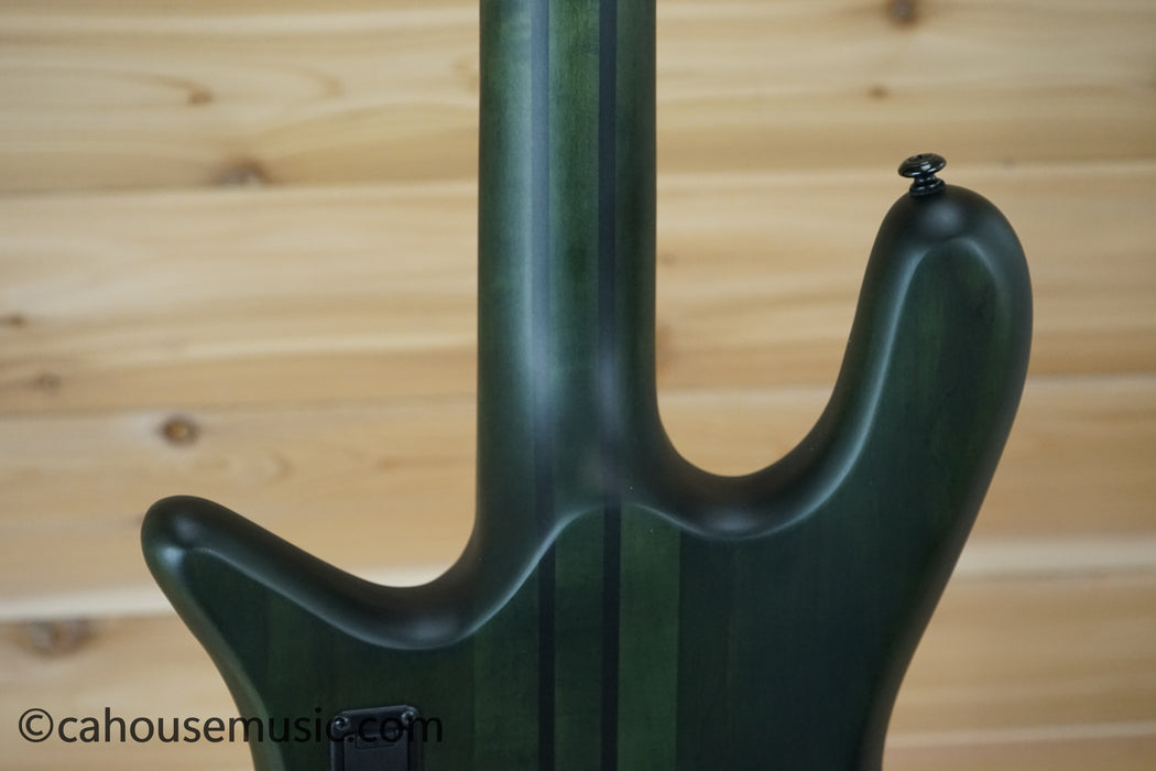 Spector NS Dimension 4 Multi-Scale Bass Guitar Haunted Moss Matte B-Stock