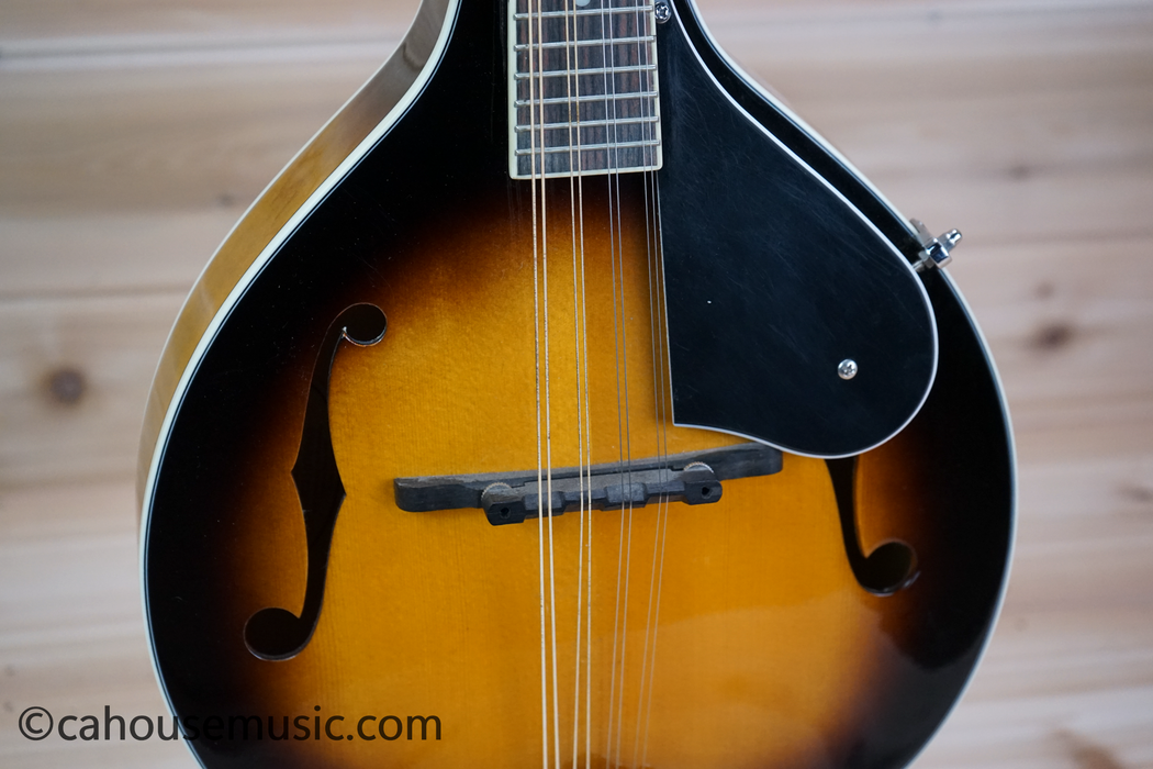 Washburn M1S Americana A-Style Mandolin Used