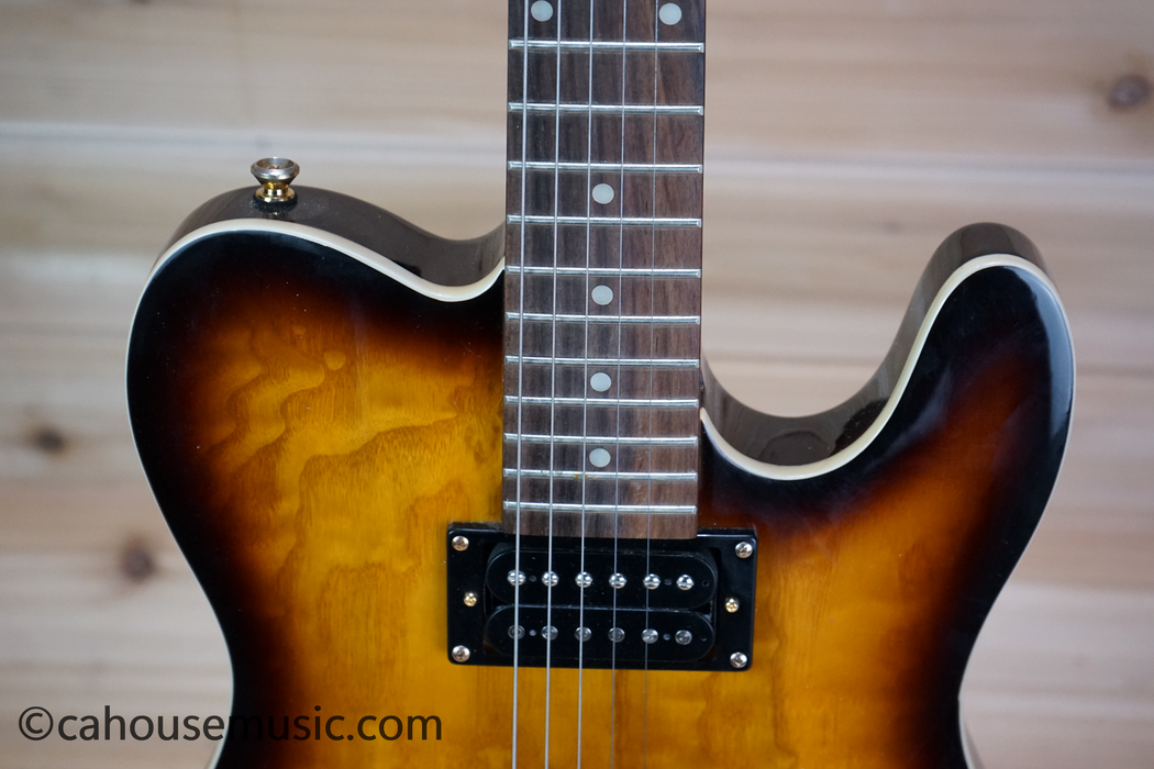Copley Tele-Style Electric Guitar with HH Pickups Used
