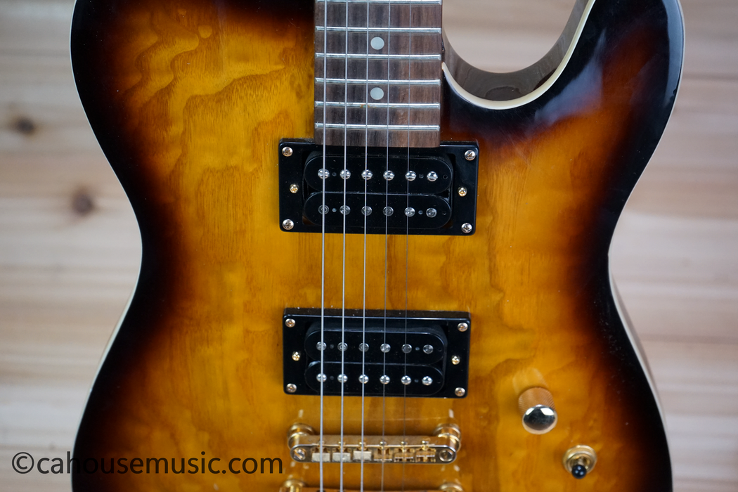 Copley Tele-Style Electric Guitar with HH Pickups Used