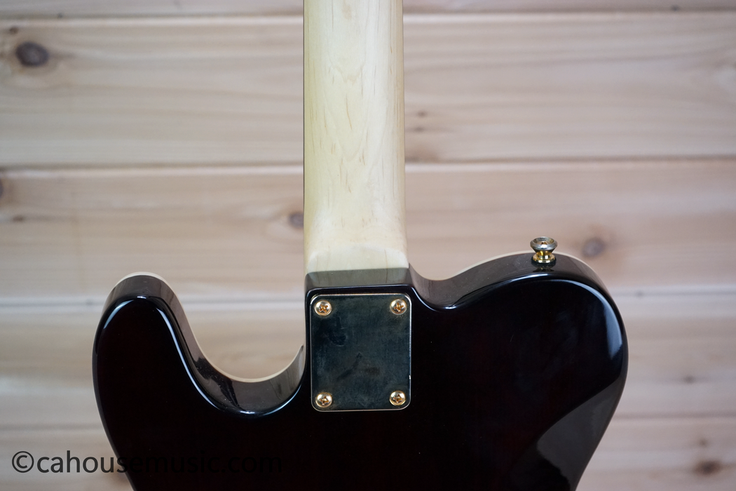 Copley Tele-Style Electric Guitar with HH Pickups Used