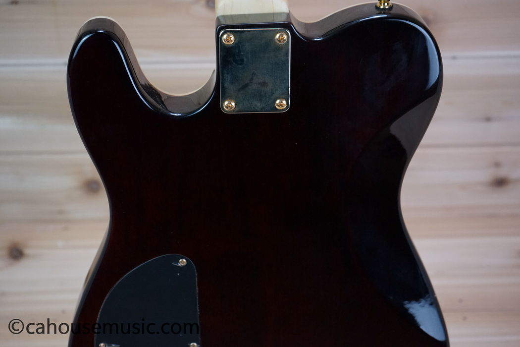 Copley Tele-Style Electric Guitar with HH Pickups Used