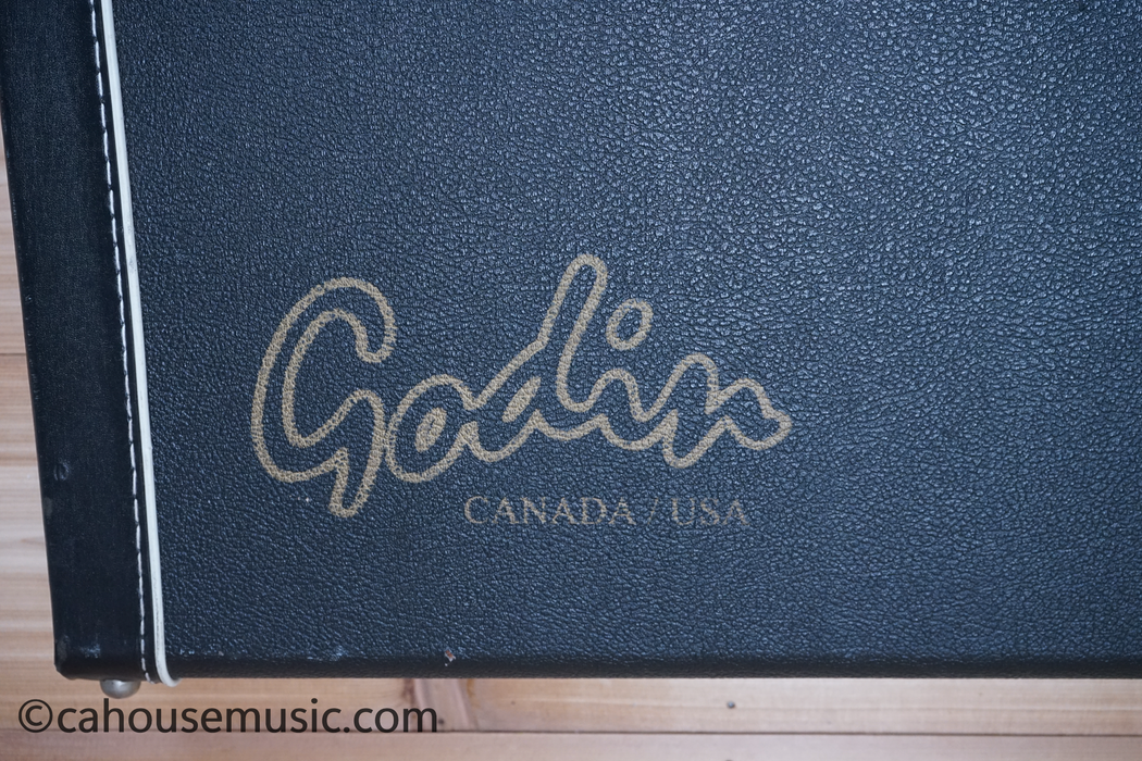 Godin Passion RG-3 Electric Guitar Used