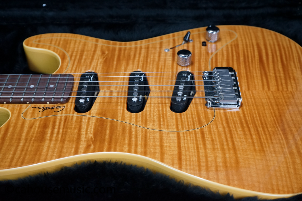 Godin Passion RG-3 Electric Guitar Used