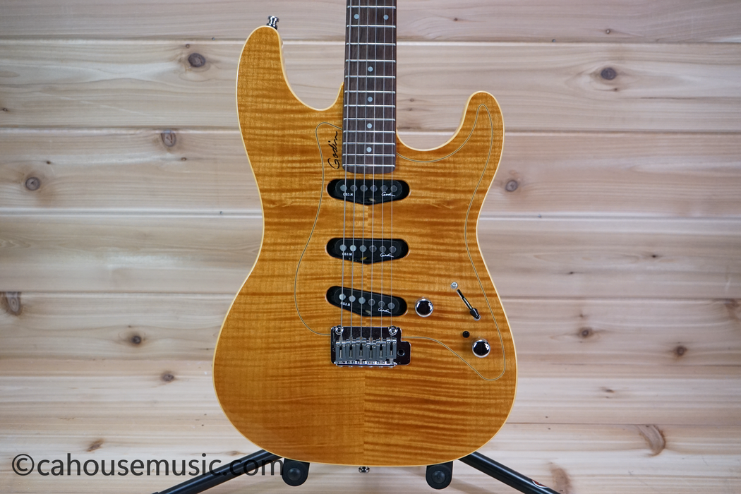 Godin Passion RG-3 Electric Guitar Used