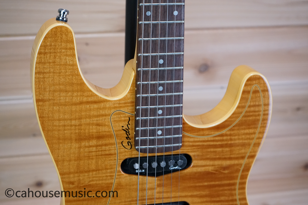 Godin Passion RG-3 Electric Guitar Used