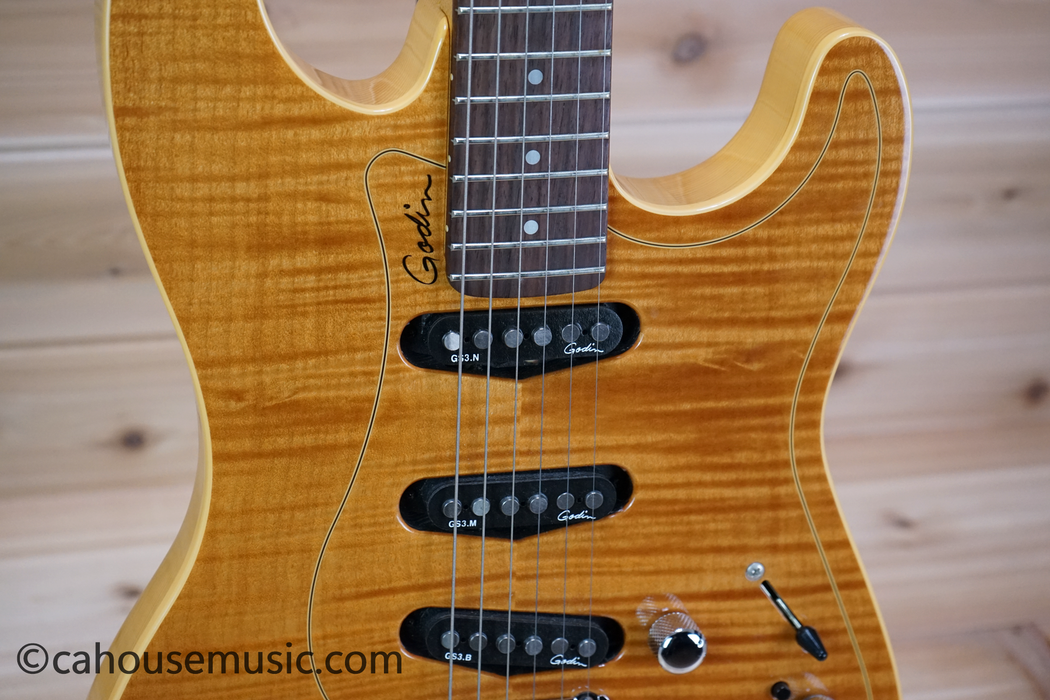 Godin Passion RG-3 Electric Guitar Used