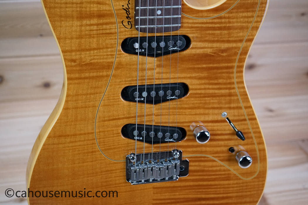 Godin Passion RG-3 Electric Guitar Used