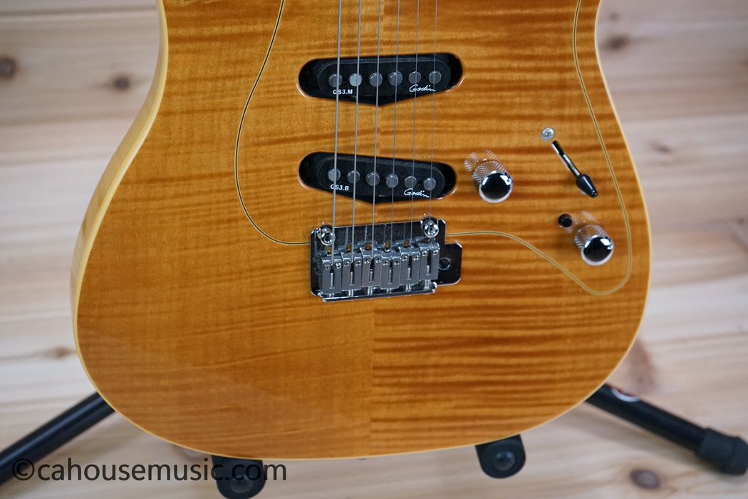 Godin Passion RG-3 Electric Guitar Used