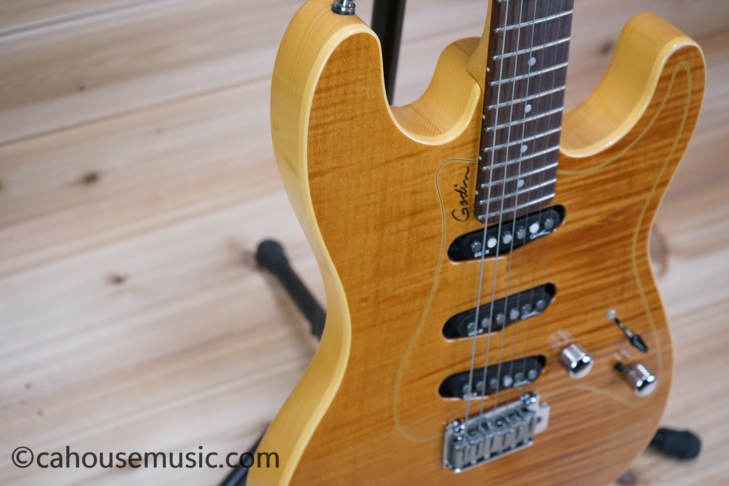 Godin Passion RG-3 Electric Guitar Used