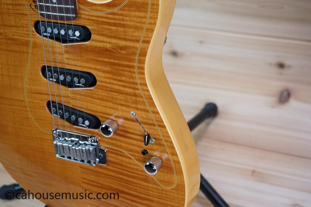 Godin Passion RG-3 Electric Guitar Used