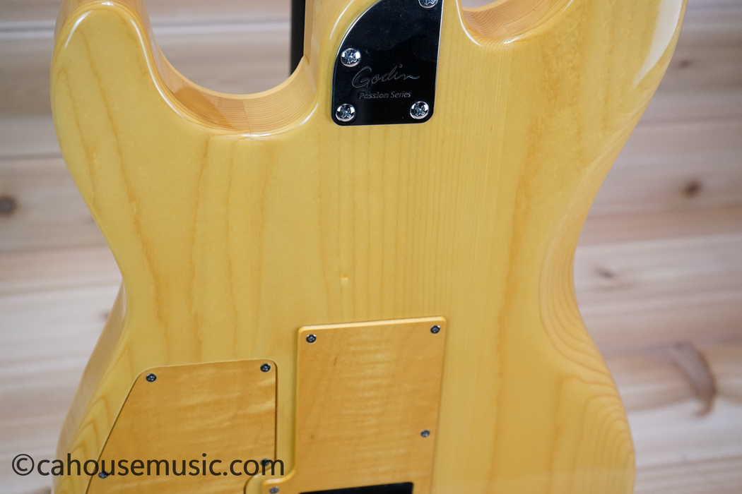 Godin Passion RG-3 Electric Guitar Used