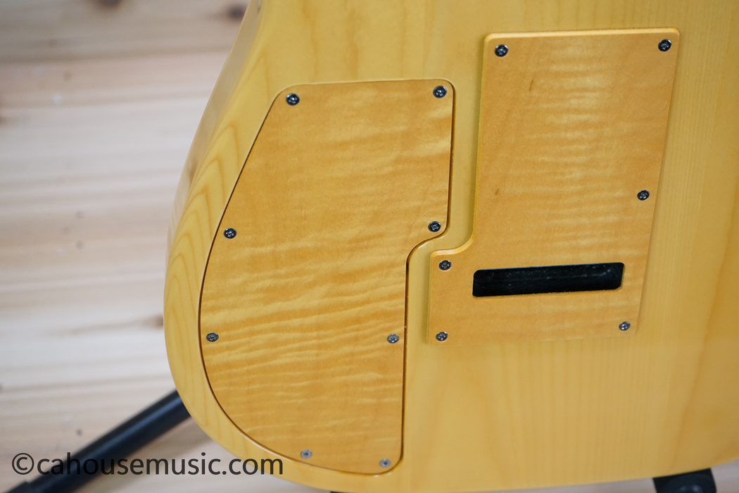Godin Passion RG-3 Electric Guitar Used