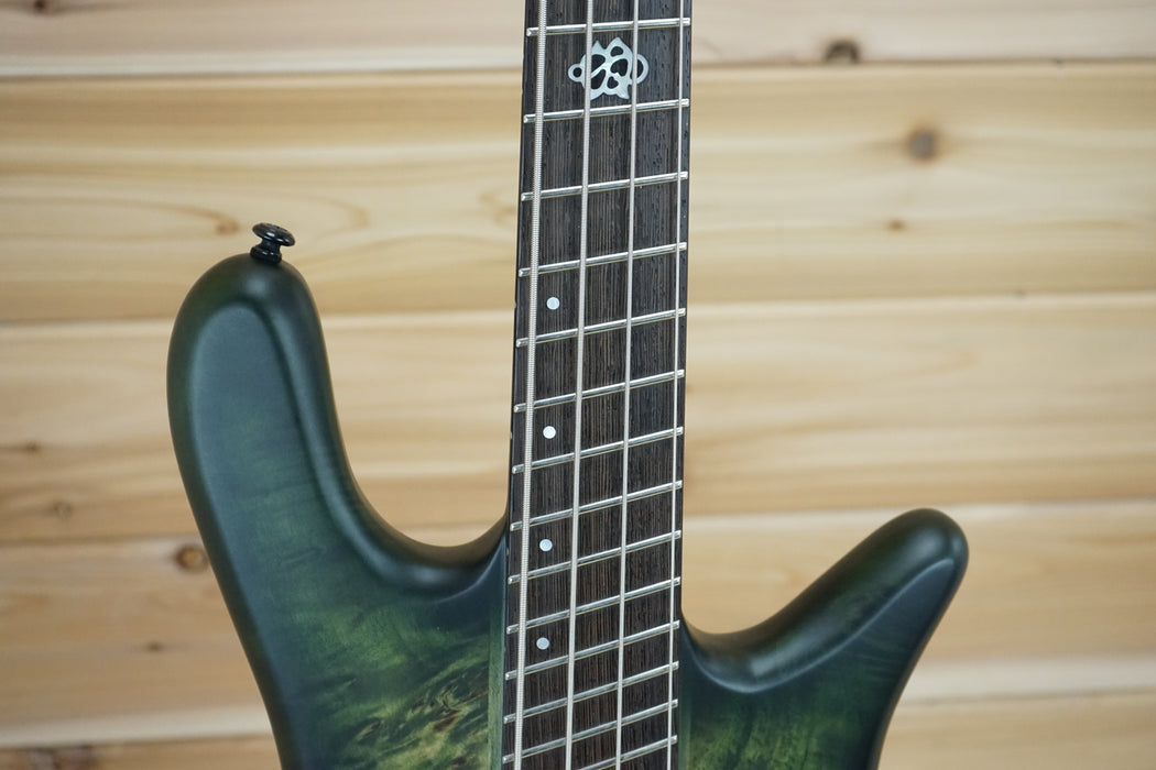 Spector NS Dimension 4 Bass Guitar Haunted Moss Matte B-Stock