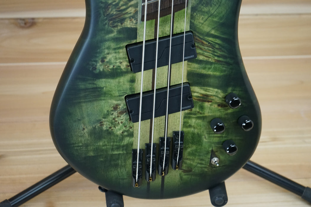 Spector NS Dimension 4 Bass Guitar Haunted Moss Matte B-Stock