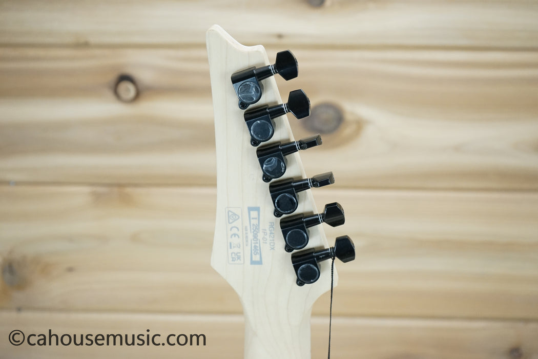 Ibanez RG Standard RG421DX Electric Guitar Twilight Shade B-Stock