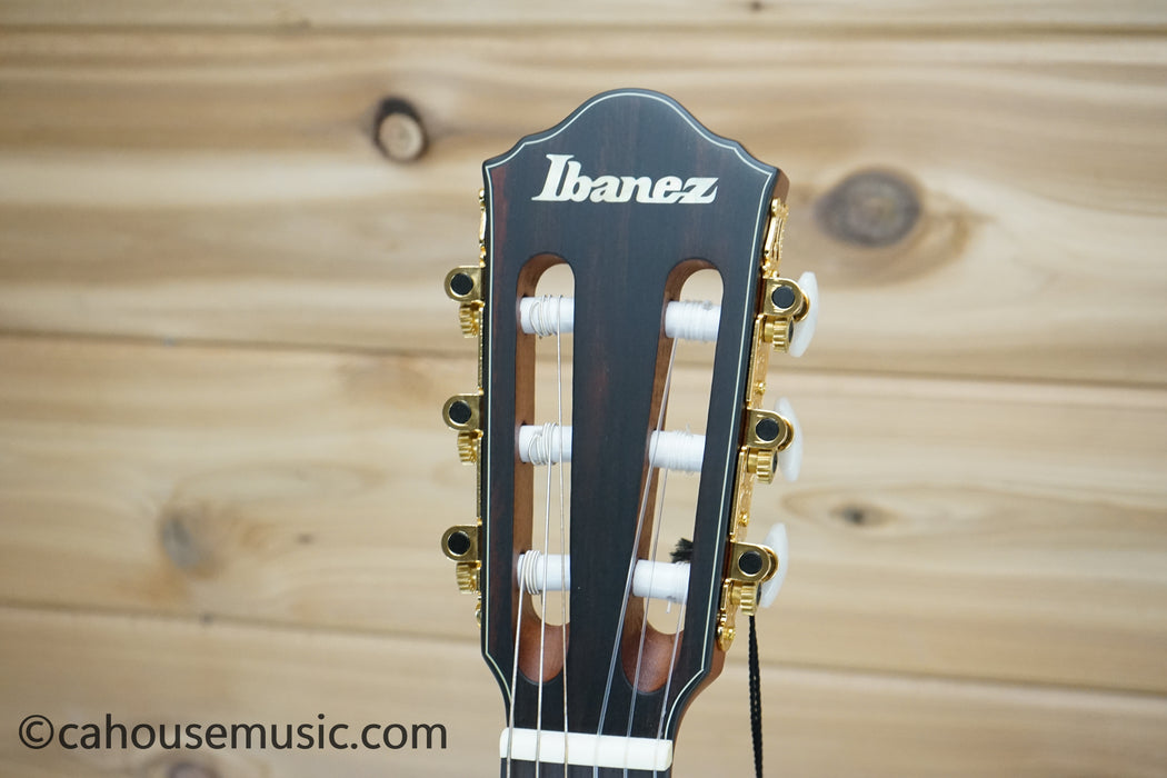 Ibanez FRH10NRGF Thinline Nylon Acoustic-Electric Guitar Rose Gold Metallic Flat B-Stock